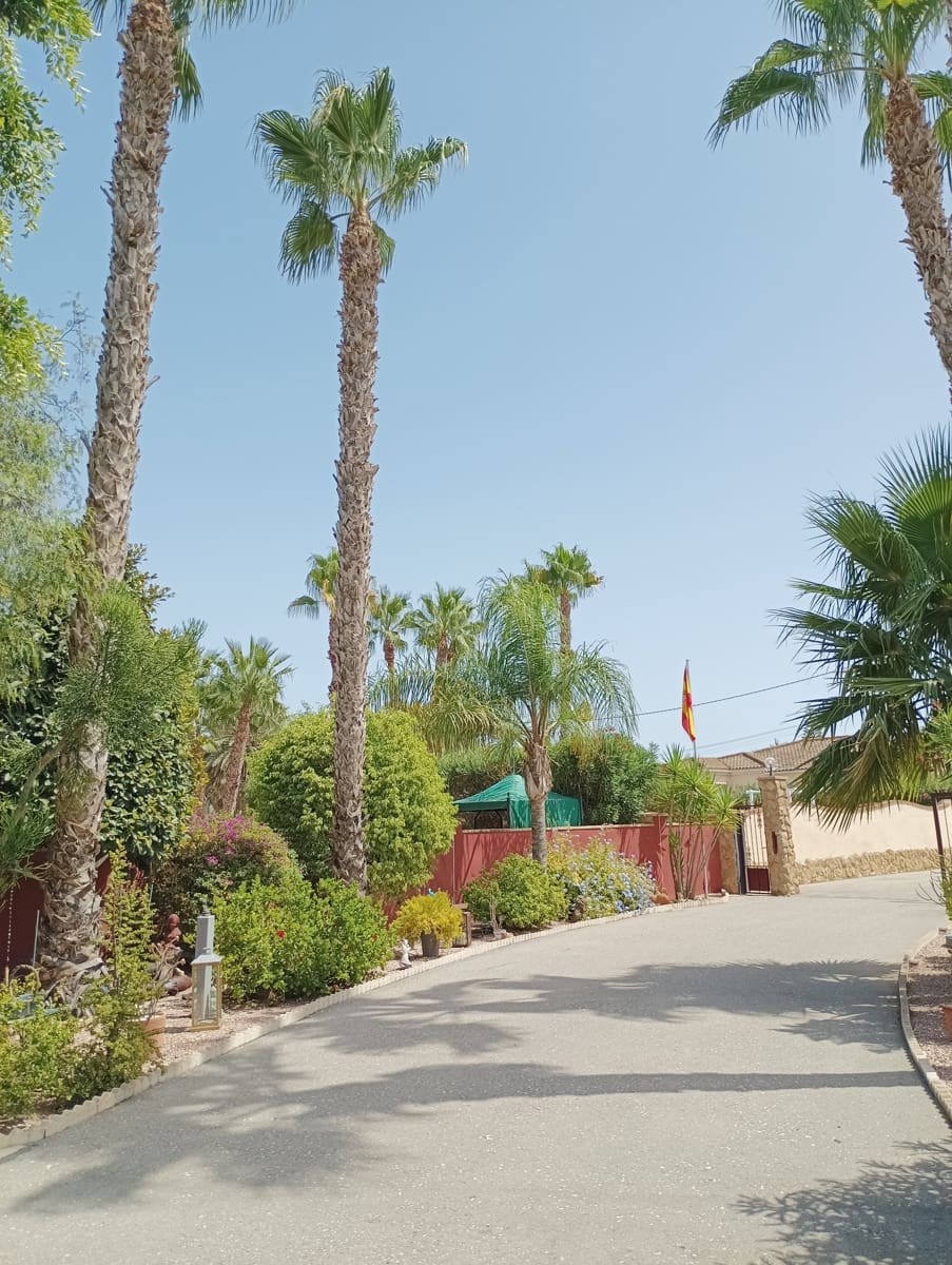 3 chambre Villa/Maison à vendre à Catral avec piscine garage - 425 000 € (Ref: 10100658)