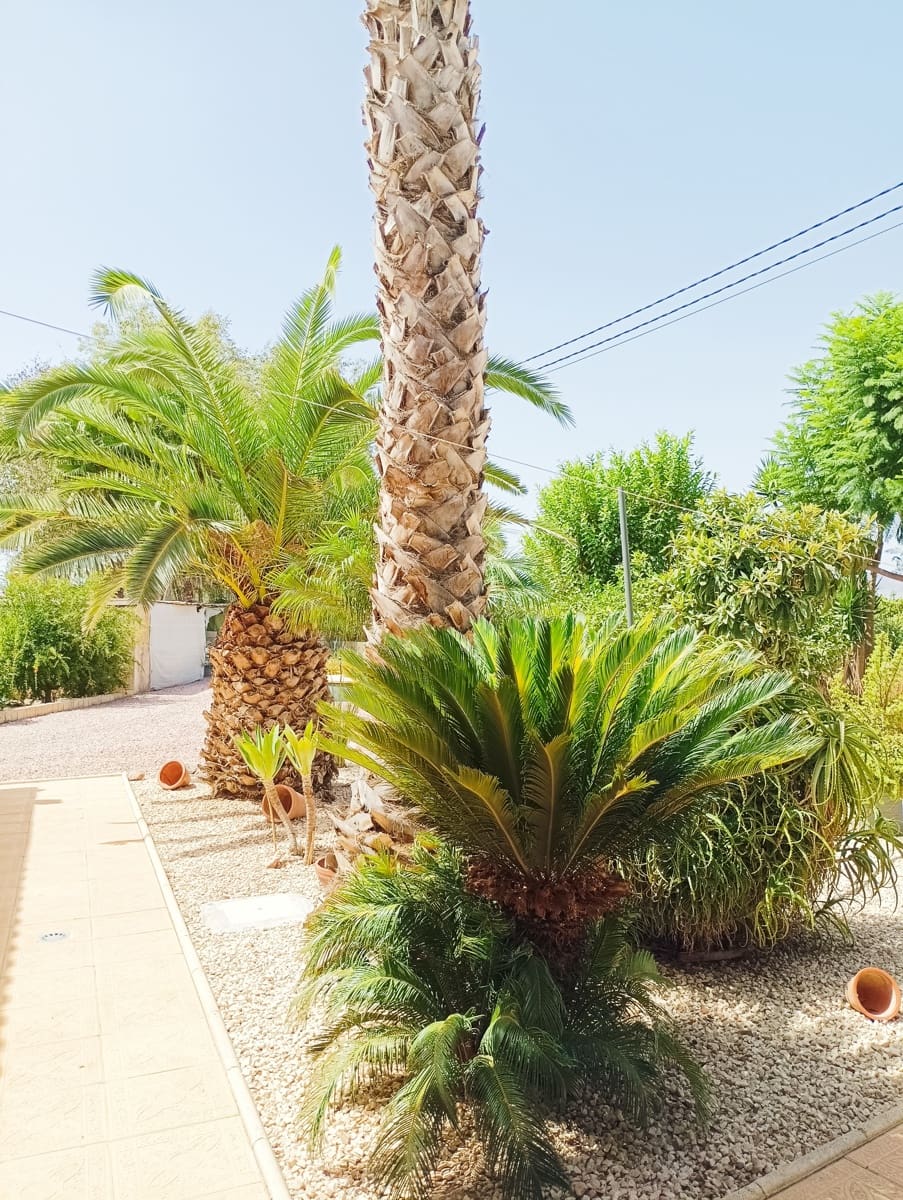 3 chambre Villa/Maison à vendre à Catral avec piscine garage - 425 000 € (Ref: 10100658)