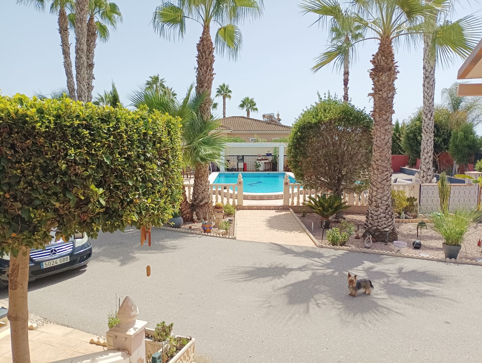 3 chambre Villa/Maison à vendre à Catral avec piscine garage - 425 000 € (Ref: 10100658)