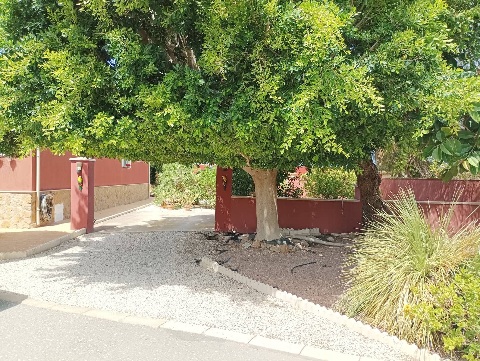 3 chambre Villa/Maison à vendre à Catral avec piscine garage - 425 000 € (Ref: 10100658)