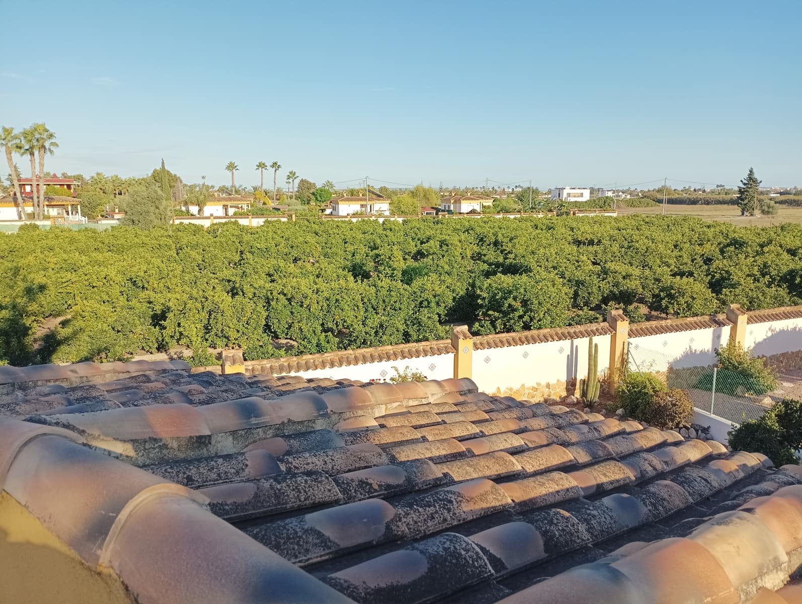 3 Zimmer Villa zu verkaufen in Catral mit Pool Garage - 399.000 € (Ref: 10155264)