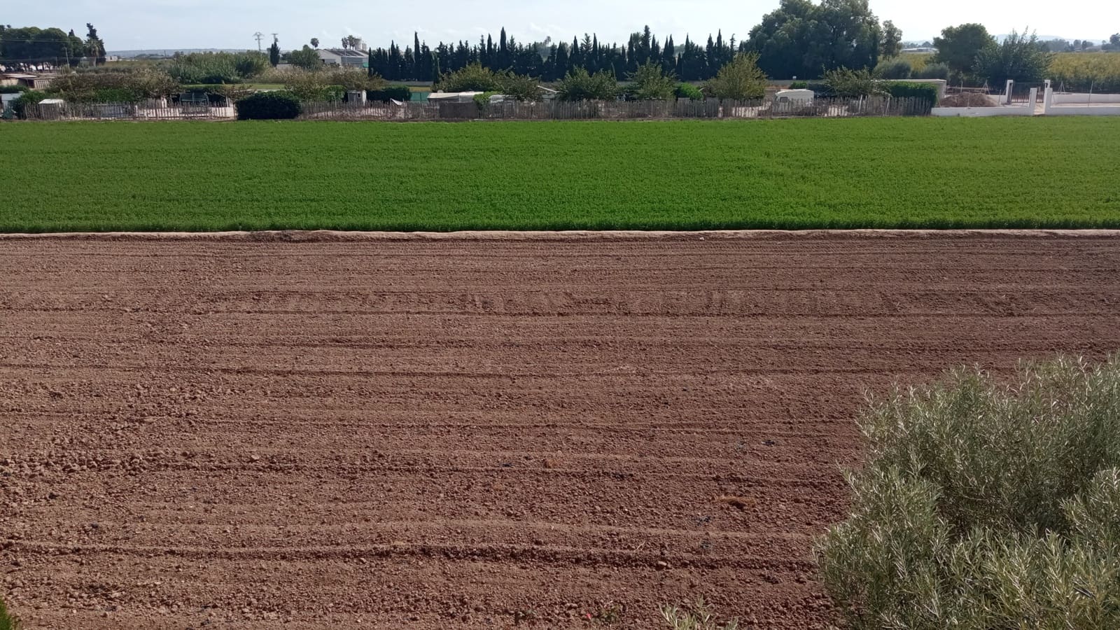 3 bedroom Villa for sale in Catral with garage - € 239,900 (Ref: 8611868)