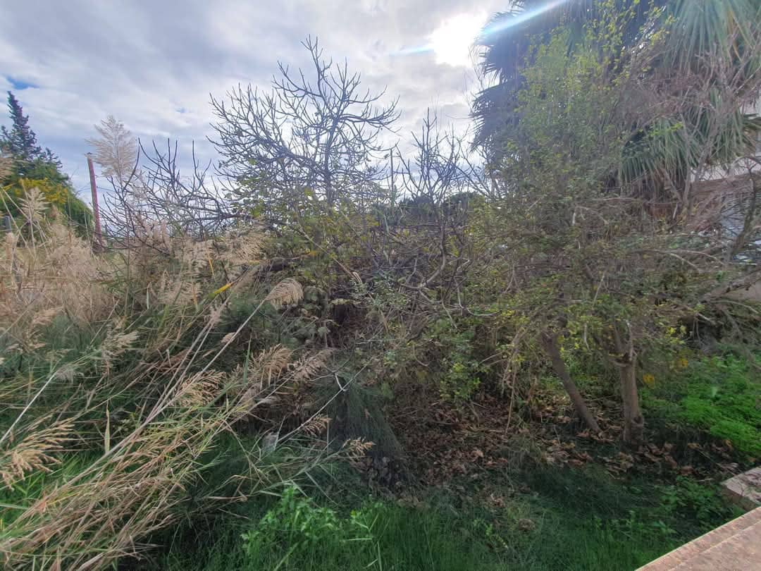 3 sypialnia Willa na sprzedaż w Catral z garażem - 375 000 € (Ref: 8862103)