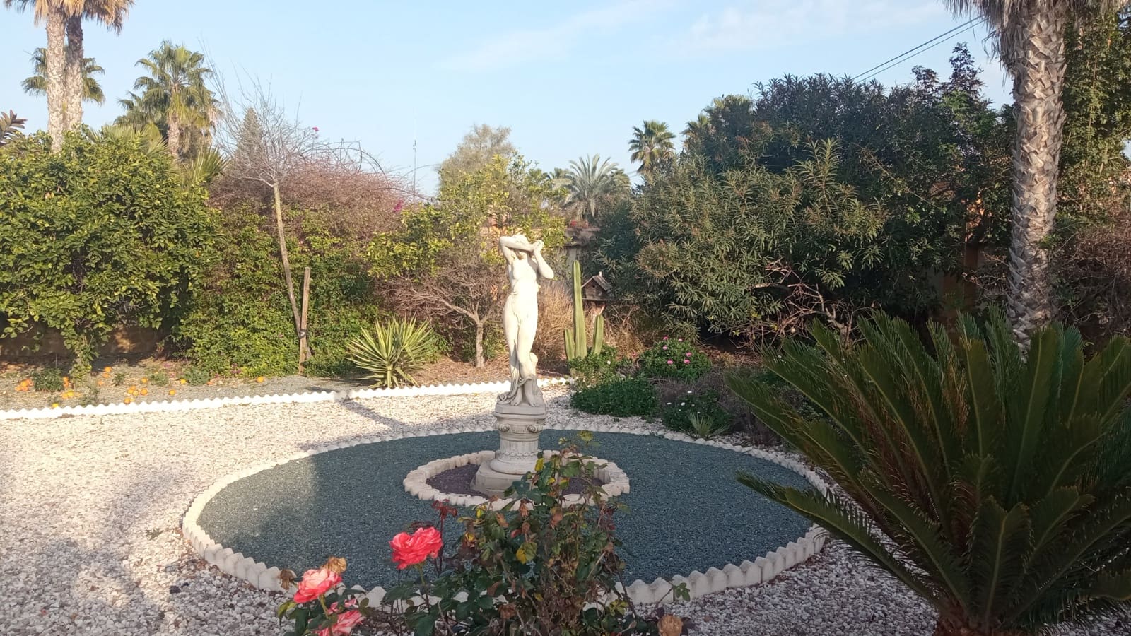 4 Zimmer Villa zu verkaufen in Catral mit Pool Garage - 389.900 € (Ref: 8902849)