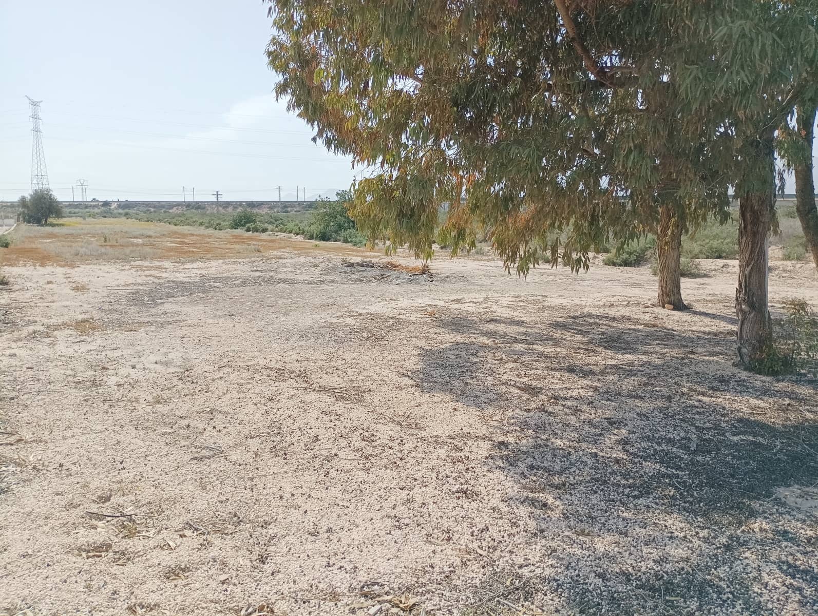 5 soveværelse Finca/Landehus til salg i Crevillente / Crevillent - € 219.900 (Ref: 8966770)