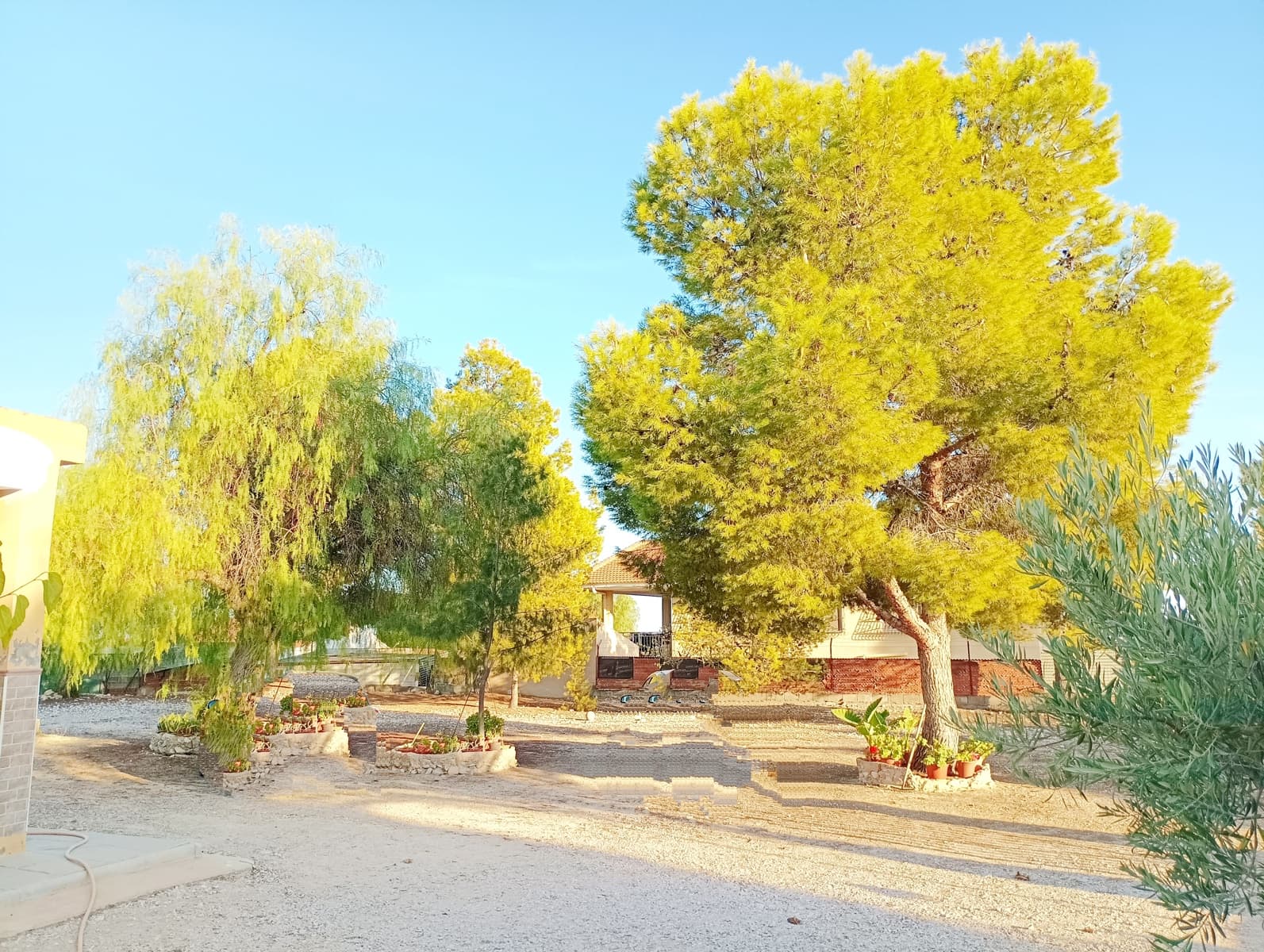 6 soverom Finca/Herregård til salgs i Albatera med svømmebasseng garasje - € 239 000 (Ref: 9242503)