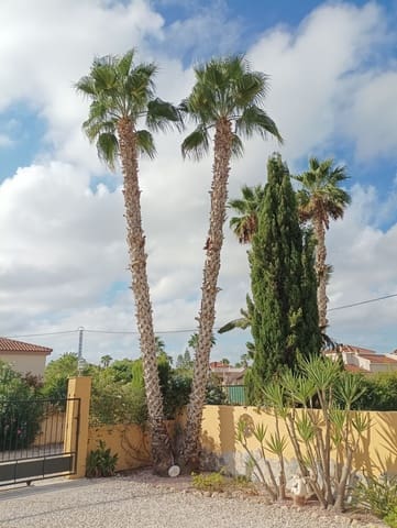 4 bedroom Villa for sale in Catral with pool garage - € 379,990 (Ref: 9262960)