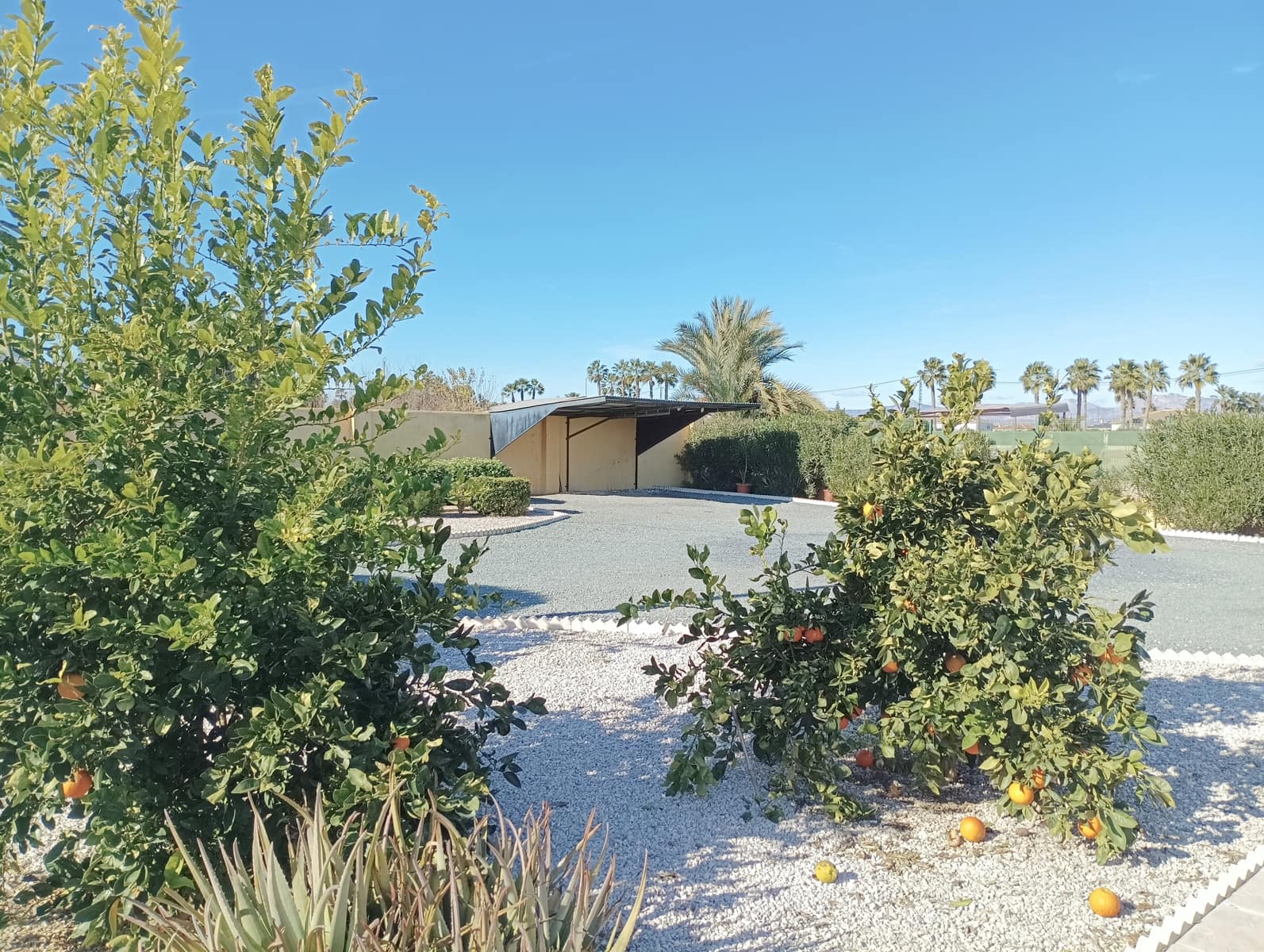 4 Zimmer Villa zu verkaufen in Catral mit Pool Garage - 369.000 € (Ref: 9730400)