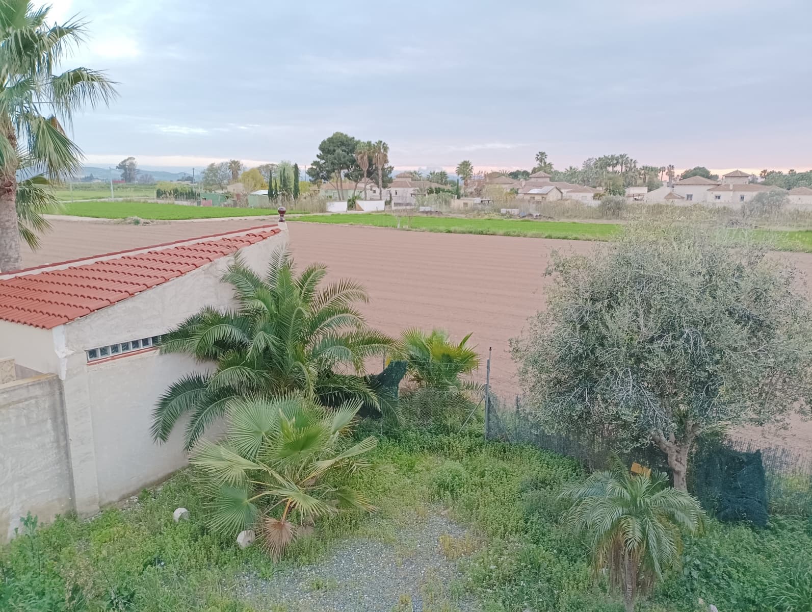 3 bedroom Villa for sale in Catral with pool - € 285,000 (Ref: 9730401)