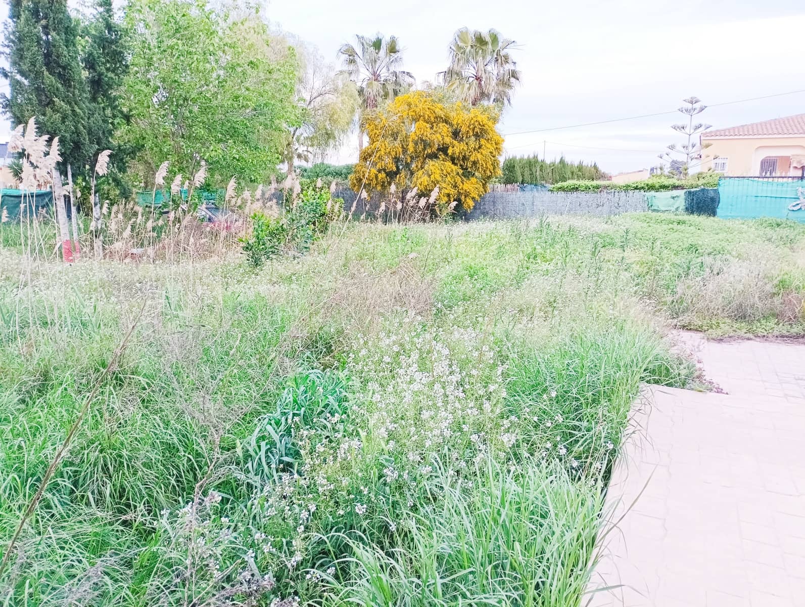 3 bedroom Villa for sale in Catral with pool - € 285,000 (Ref: 9730401)