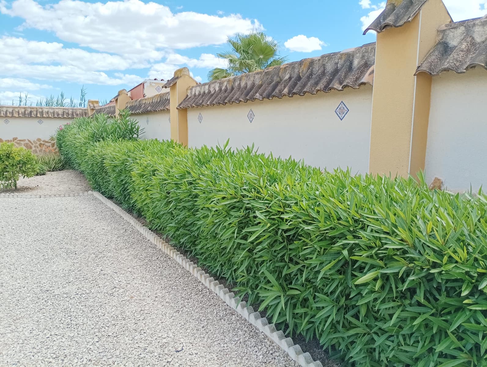 4 Zimmer Villa zu verkaufen in Catral mit Pool Garage - 369.000 € (Ref: 9833177)