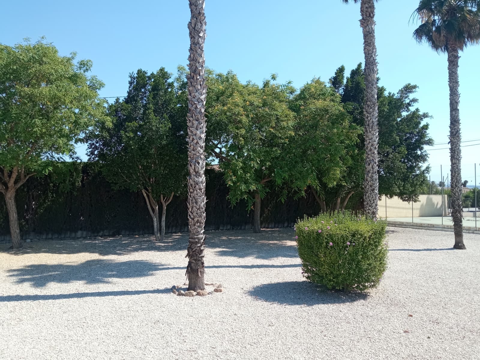 3 soveværelse Villa til salg i Catral med swimmingpool garage - € 390.900 (Ref: 9844601)