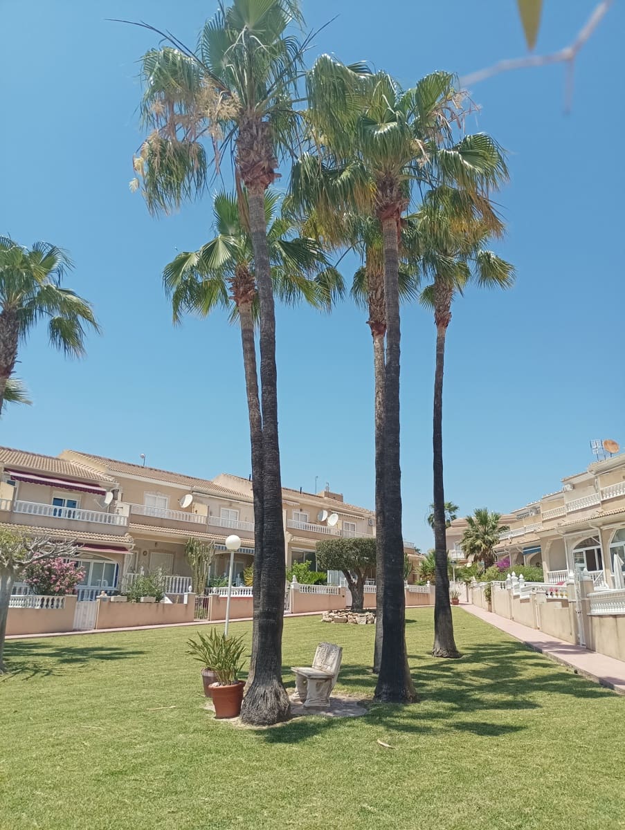 Pareado de 3 habitaciones en Ciudad Quesada en venta con piscina garaje - 245.000 € (Ref: 9880531)