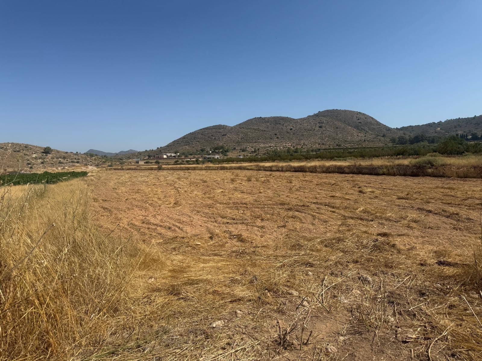 Terreno Non Edificato in vendita in Hondon de las Nieves - 85.000 € (Rif: 10159827)