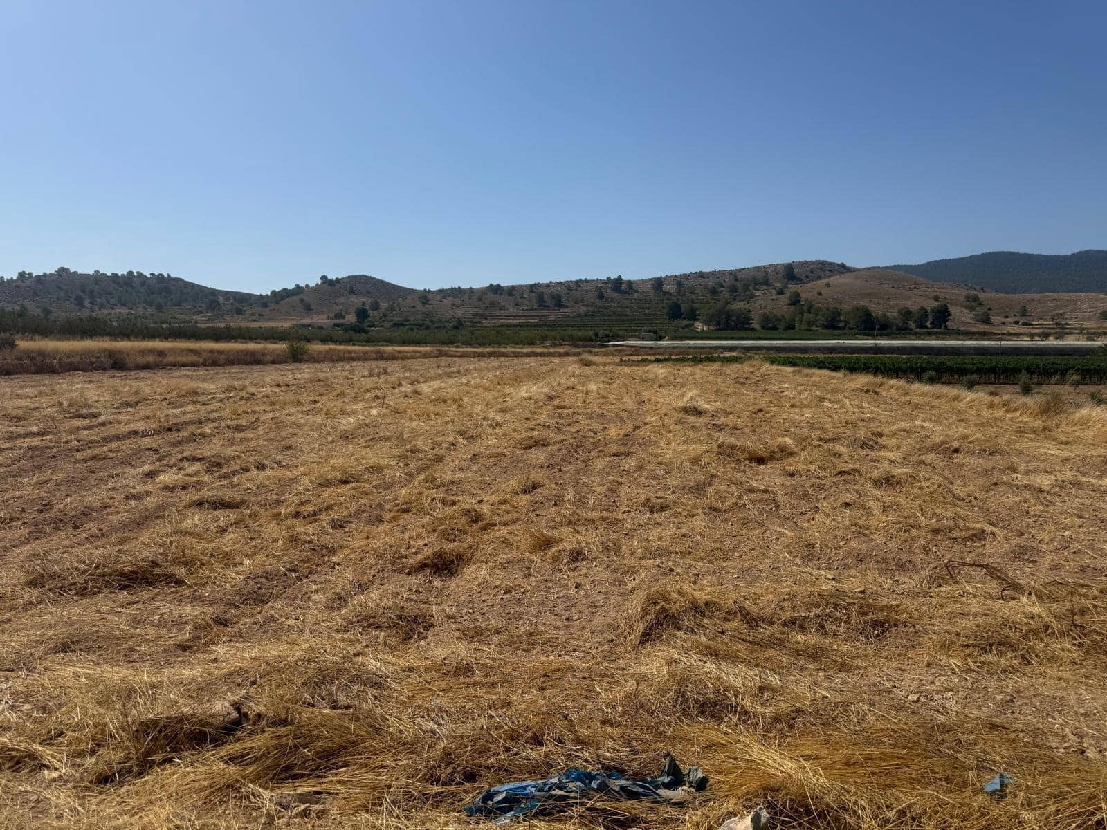 Terreno Non Edificato in vendita in Hondon de las Nieves - 85.000 € (Rif: 10159827)