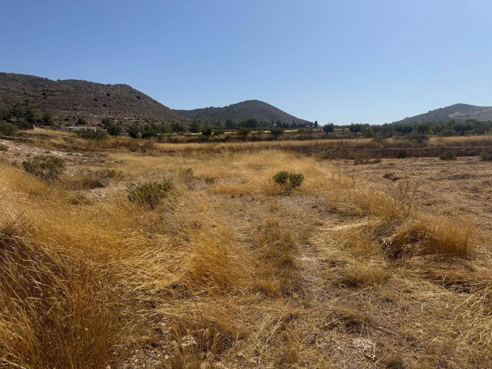 Terreno Non Edificato in vendita in Hondon de las Nieves - 85.000 € (Rif: 10159827)