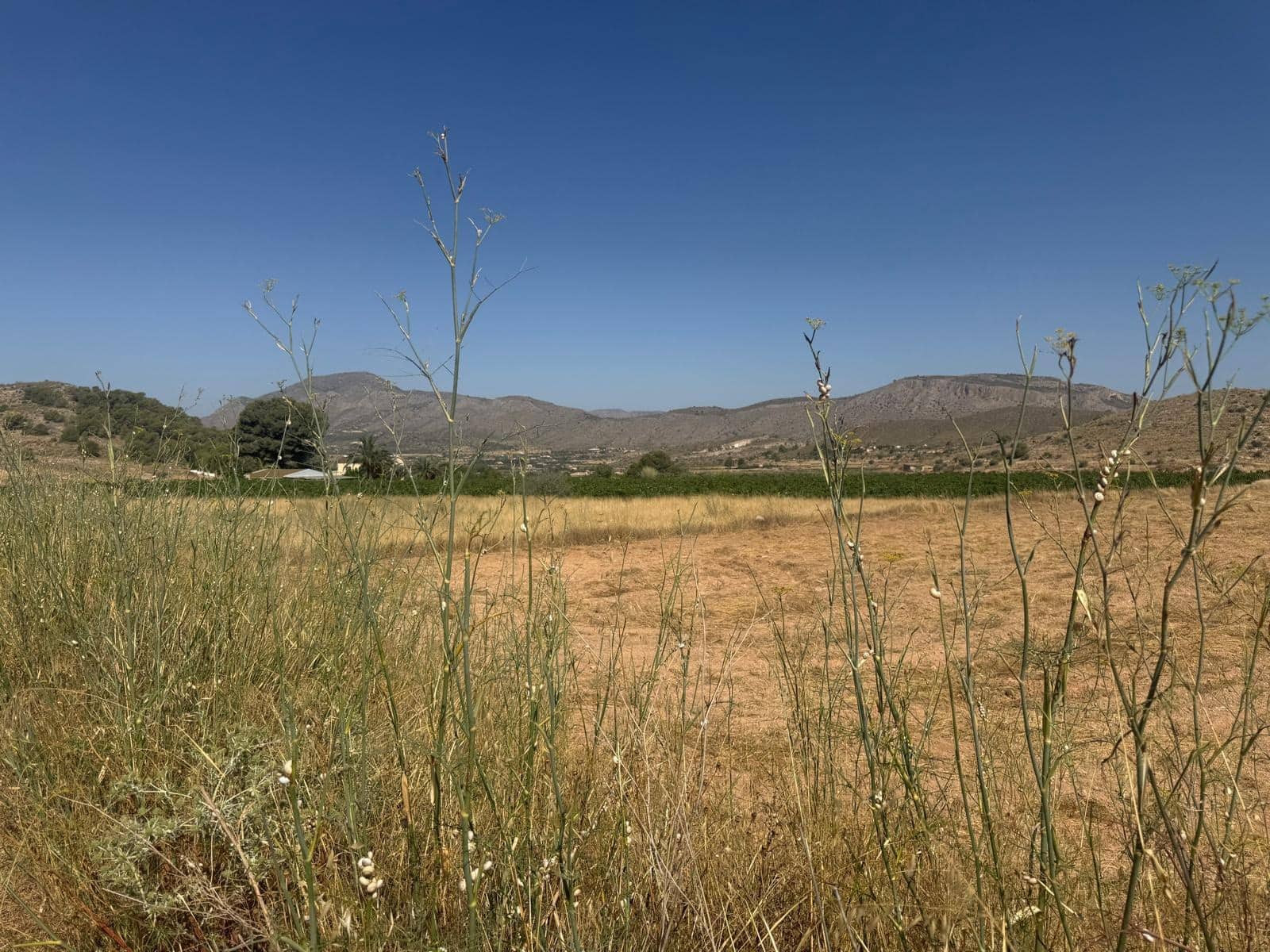 Terreno Non Edificato in vendita in Hondon de las Nieves - 85.000 € (Rif: 10159827)