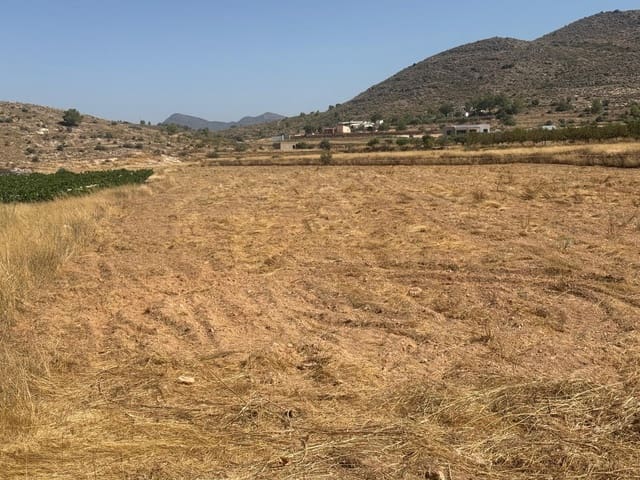 Terreno Non Edificato in vendita in Hondón de las Nieves - 85.000 € (Rif: 10159827)