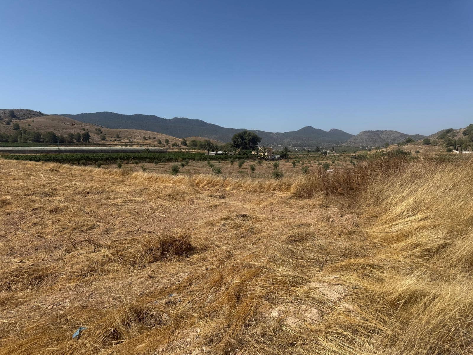 Terreno Non Edificato in vendita in Hondon de las Nieves - 85.000 € (Rif: 10159827)