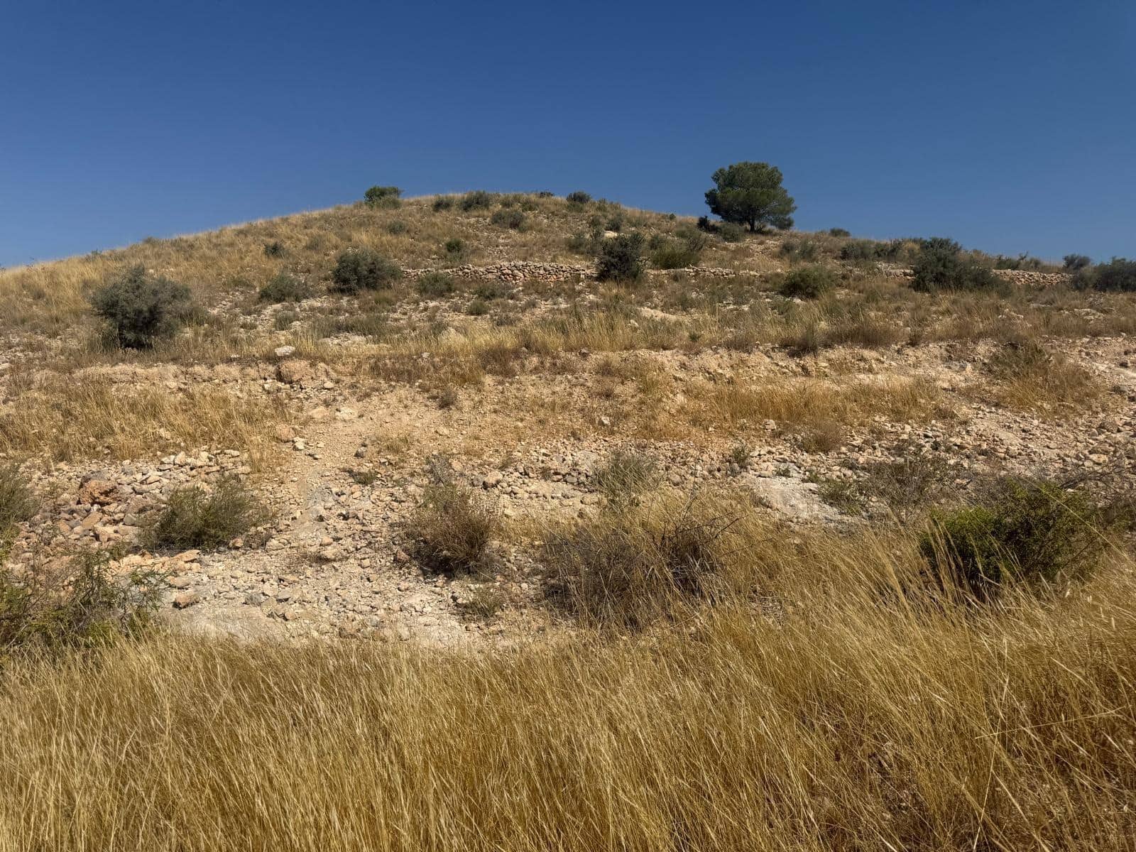 Terreno Non Edificato in vendita in Hondon de las Nieves - 85.000 € (Rif: 10159827)