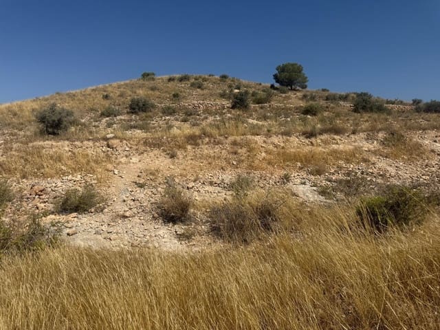 Terreno Non Edificato in vendita in Hondón de las Nieves - 85.000 € (Rif: 10159827)