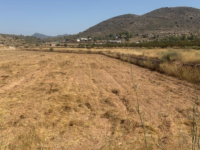 Terreno Non Edificato in vendita in Hondón de las Nieves - 85.000 € (Rif: 10159827)