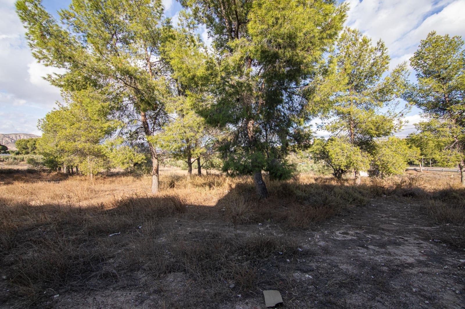 6 sypialnia Finka/Dom wiejski na sprzedaż w Monovar / Monover z basenem - 167 000 € (Ref: 10171841)