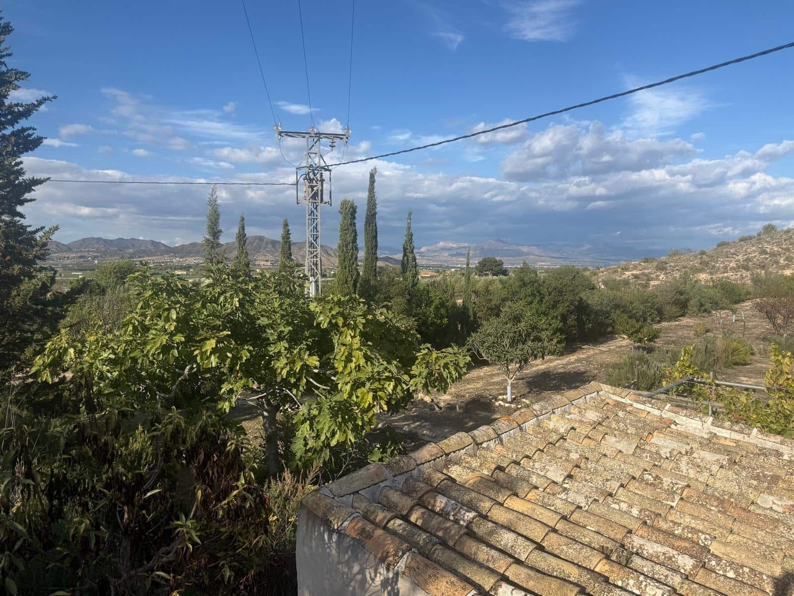 Terreno Não Urbanizado para venda em Aspe - 59 000 € (Ref: 10183030)