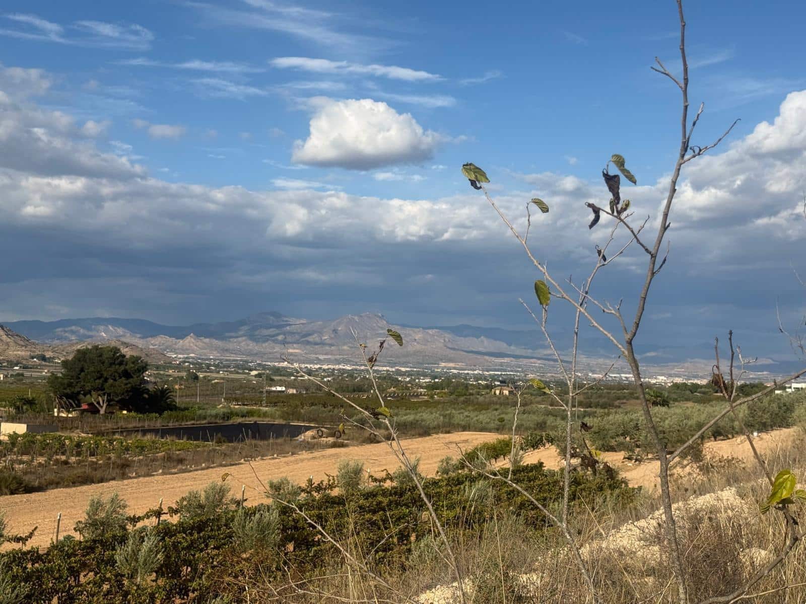 Terreno Não Urbanizado para venda em Aspe - 59 000 € (Ref: 10183030)