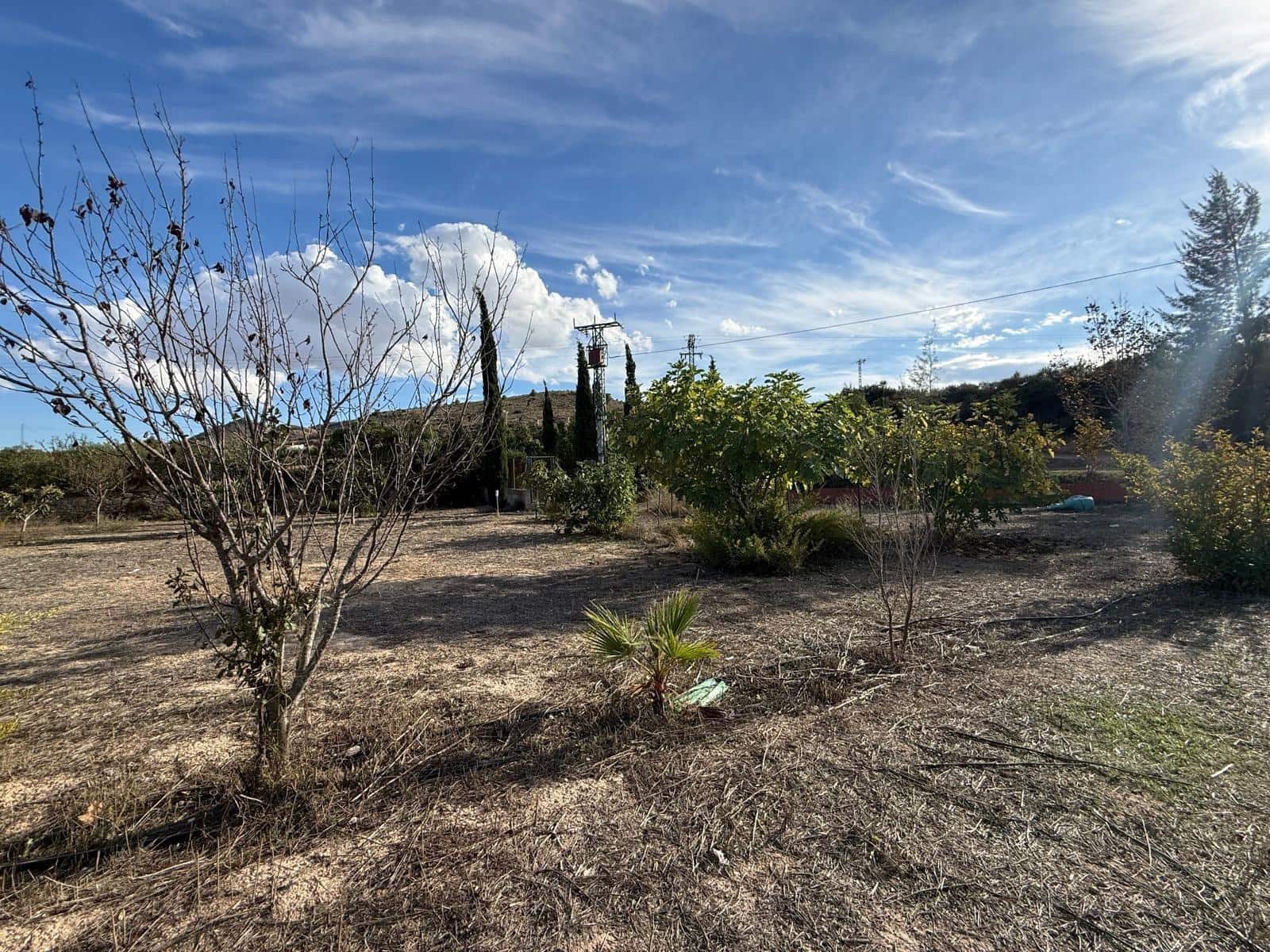 Terreno Não Urbanizado para venda em Aspe - 59 000 € (Ref: 10183030)