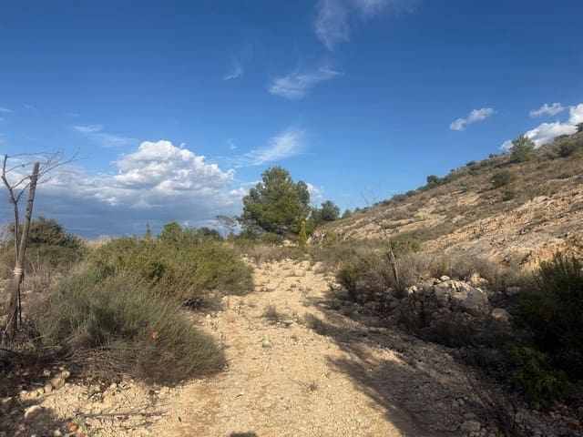 Terreno/Finca Rústica en Aspe en venta - 59.000 € (Ref: 10183030)
