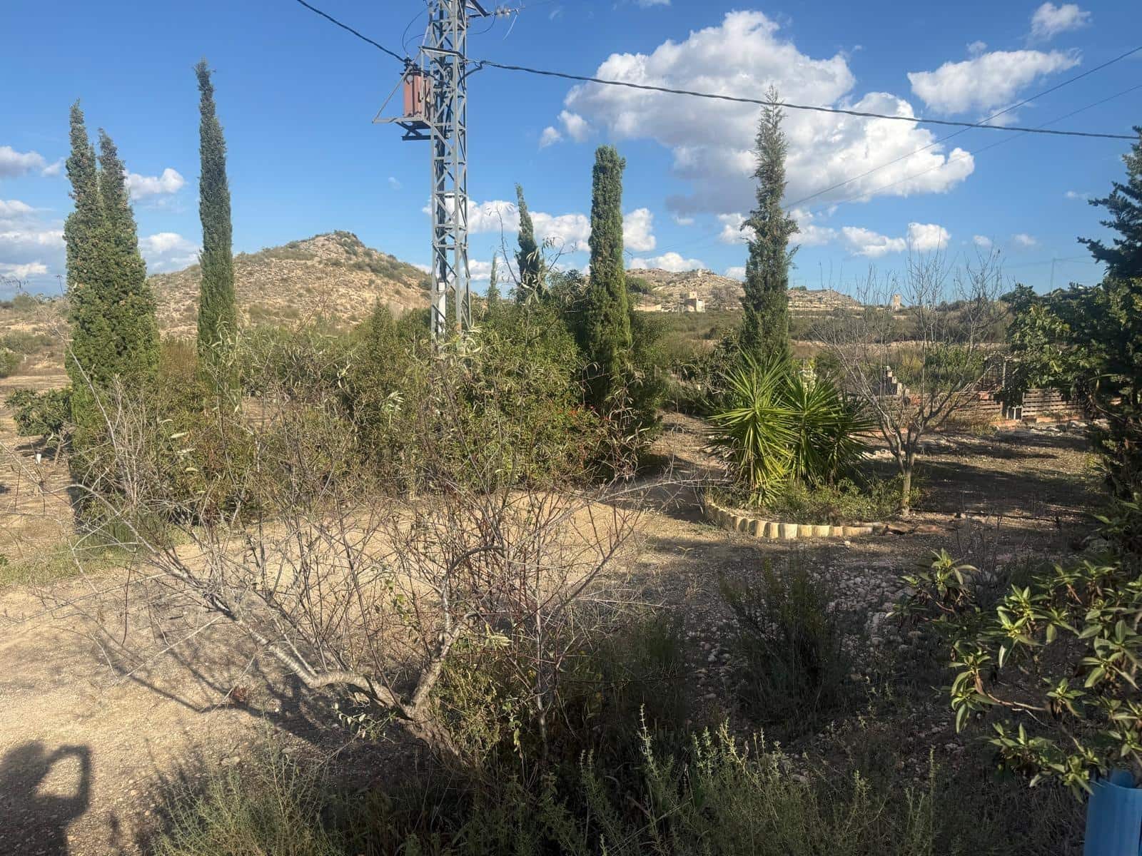 Terreno Não Urbanizado para venda em Aspe - 59 000 € (Ref: 10183030)