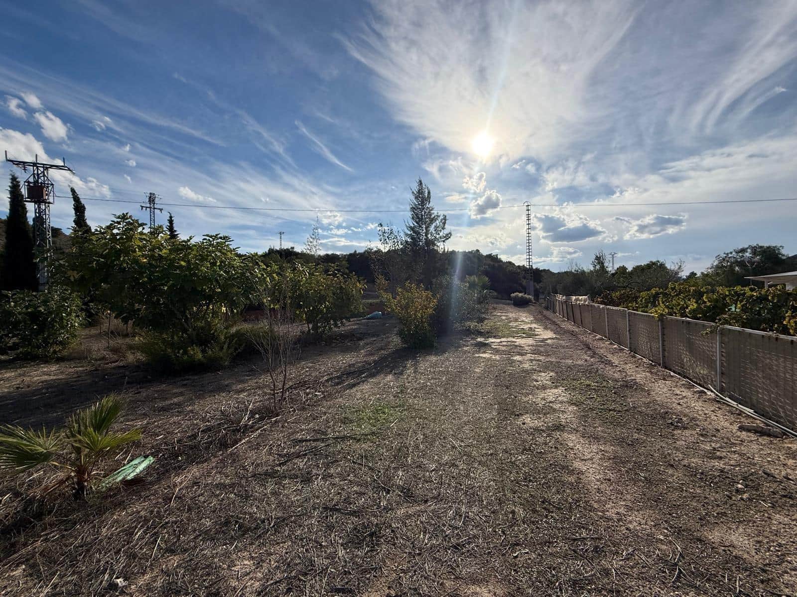 Terreno Não Urbanizado para venda em Aspe - 59 000 € (Ref: 10183030)