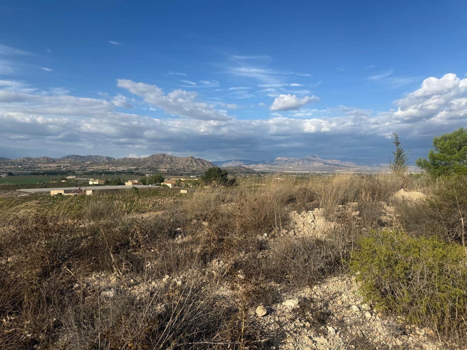 Terreno Não Urbanizado para venda em Aspe - 59 000 € (Ref: 10183030)