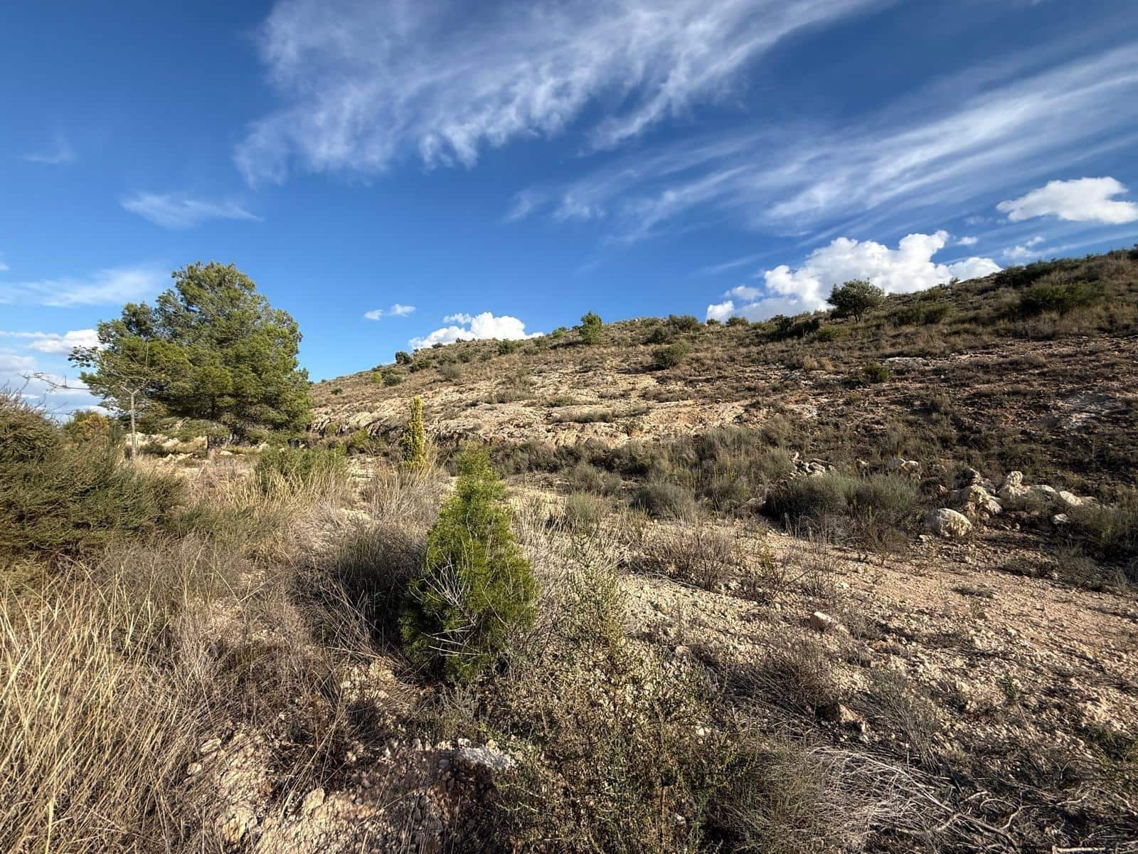 Terreno Não Urbanizado para venda em Aspe - 59 000 € (Ref: 10183030)