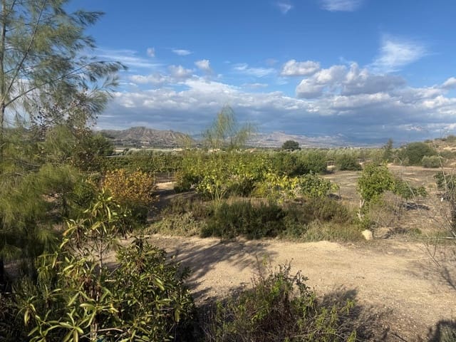 Terreno/Finca Rústica en Aspe en venta - 59.000 € (Ref: 10183030)