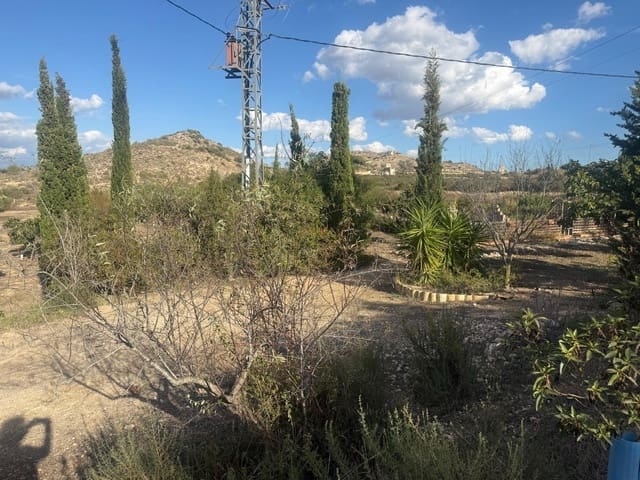 Terreno/Finca Rústica en Aspe en venta - 59.000 € (Ref: 10183030)