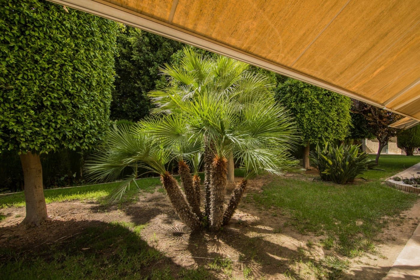 7 soveværelse Villa til salg i Elche / Elx med swimmingpool garage - € 950.000 (Ref: 7001870)