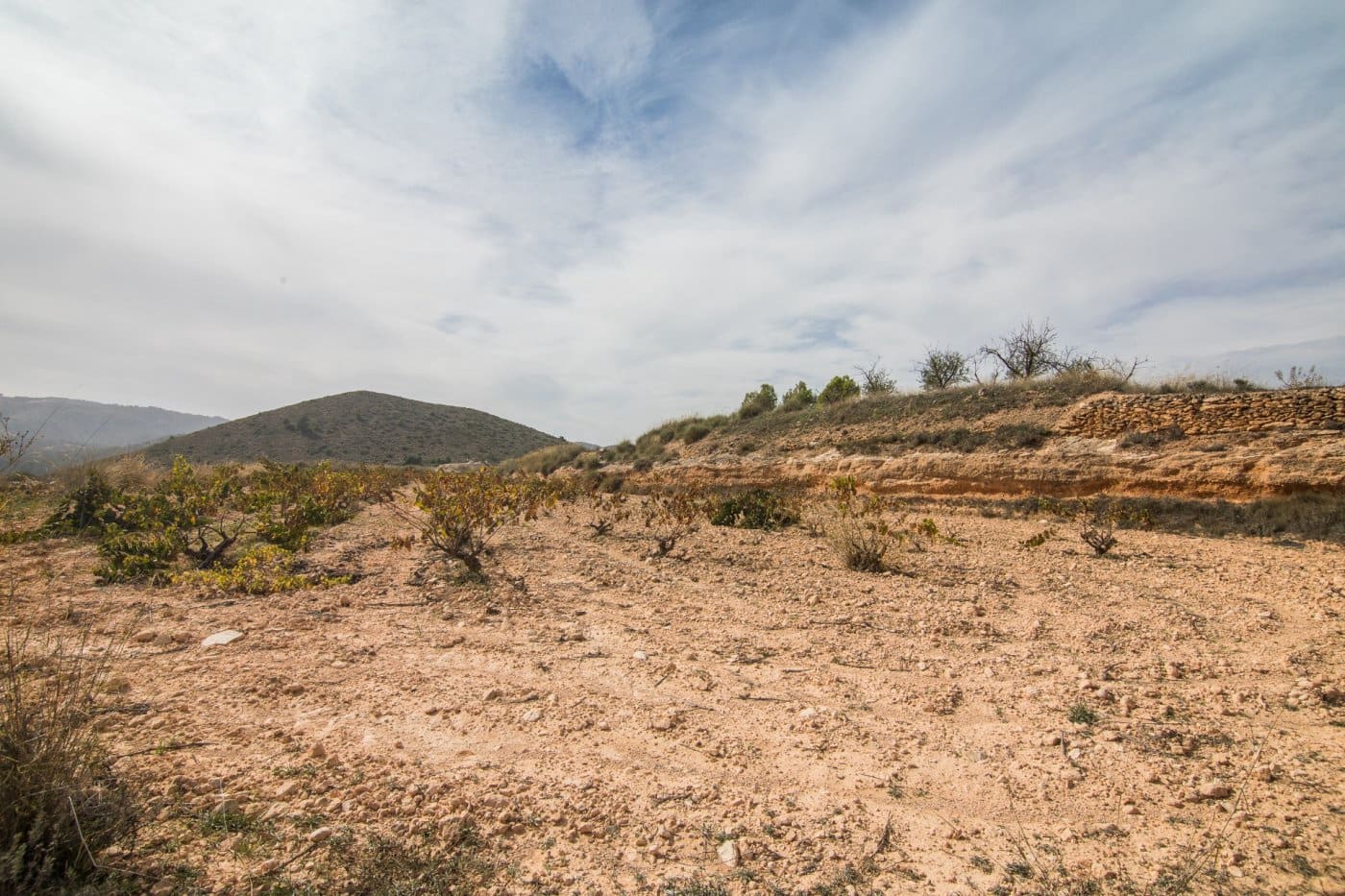 Ubebygd land til salgs i L'Alguena / Alguenya - € 65 000 (Ref: 7204845)