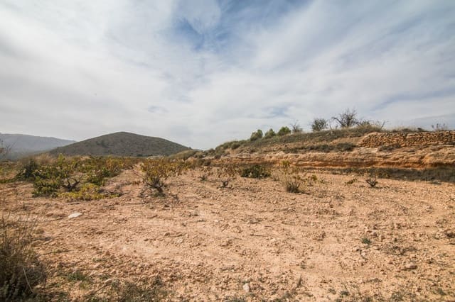 Undeveloped Land for sale in L'Algueña / Alguenya - € 65,000 (Ref: 7204845)