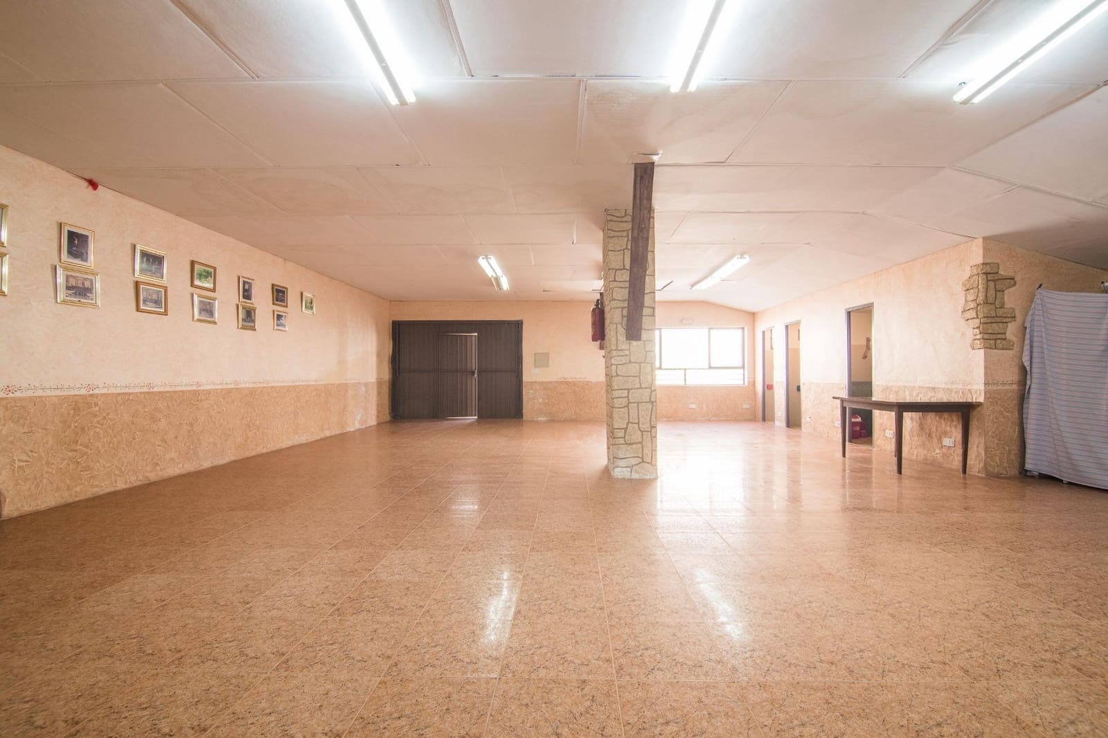 Yritys myytävänä paikassa L'Alguena / Alguenya - 60 000 € (Ref: 8843371)