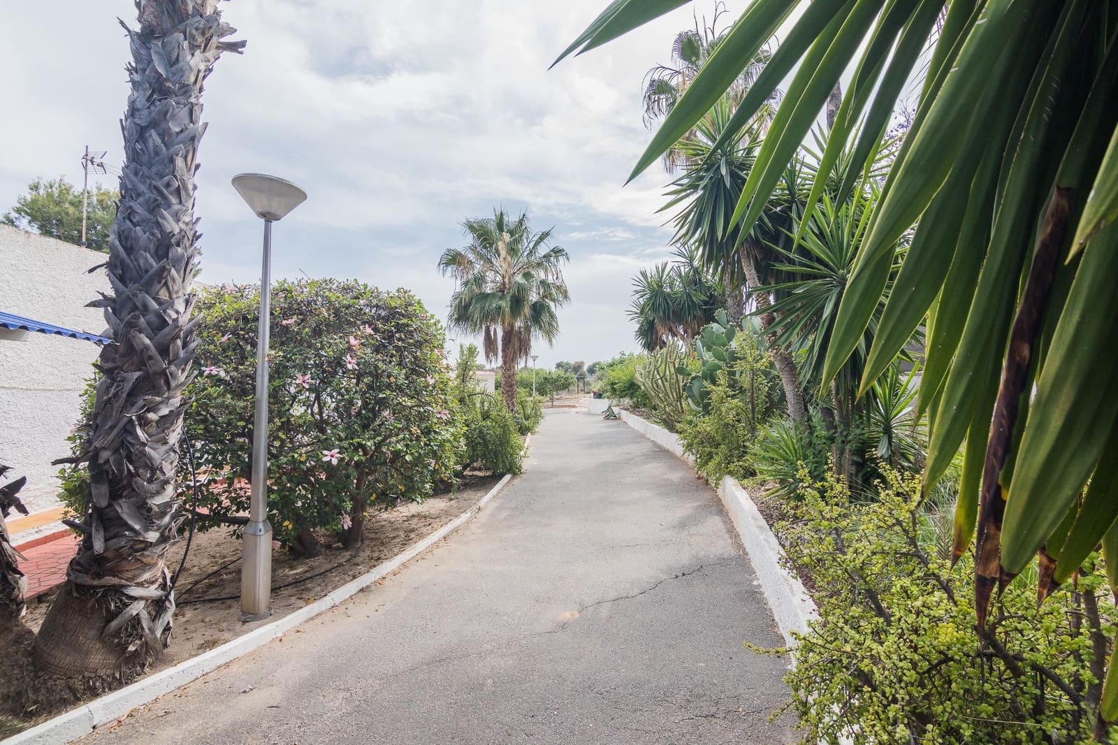 3 chambre Villa/Maison à vendre à Elche / Elx avec piscine garage - 395 000 € (Ref: 9089889)