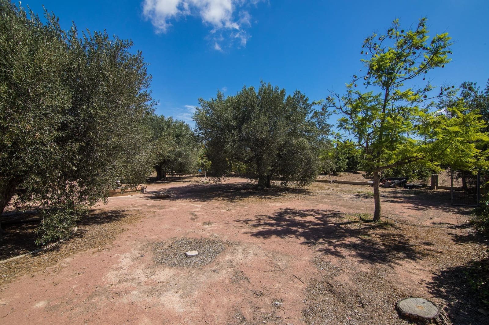 7 soveværelse Villa til salg i Elche / Elx med swimmingpool - € 595.000 (Ref: 9269840)