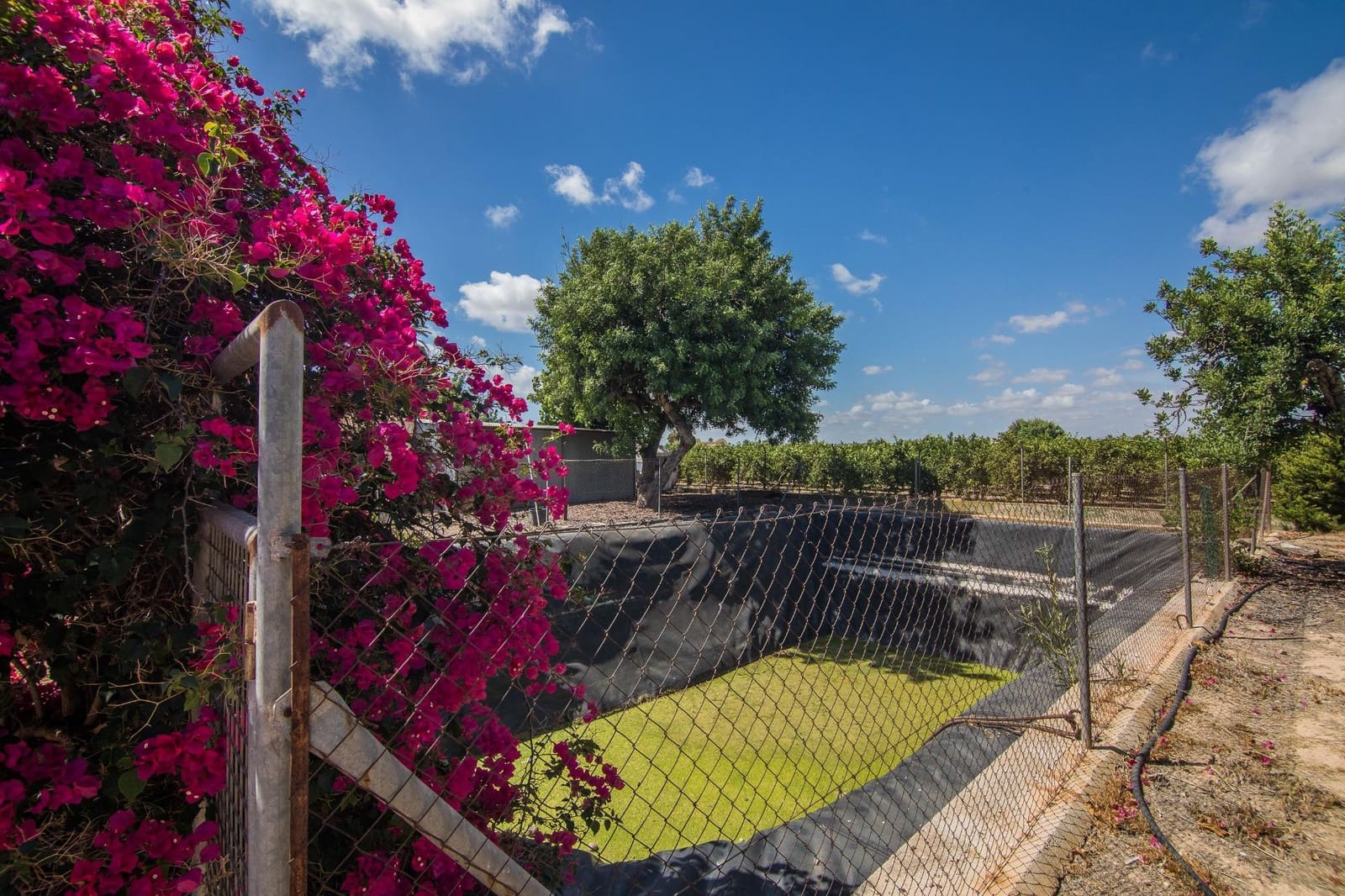 7 soveværelse Villa til salg i Elche / Elx med swimmingpool - € 595.000 (Ref: 9269840)