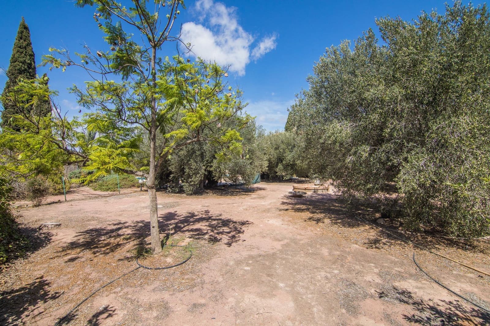 7 soverom Villa til salgs i Elche / Elx med svømmebasseng - € 595 000 (Ref: 9269840)