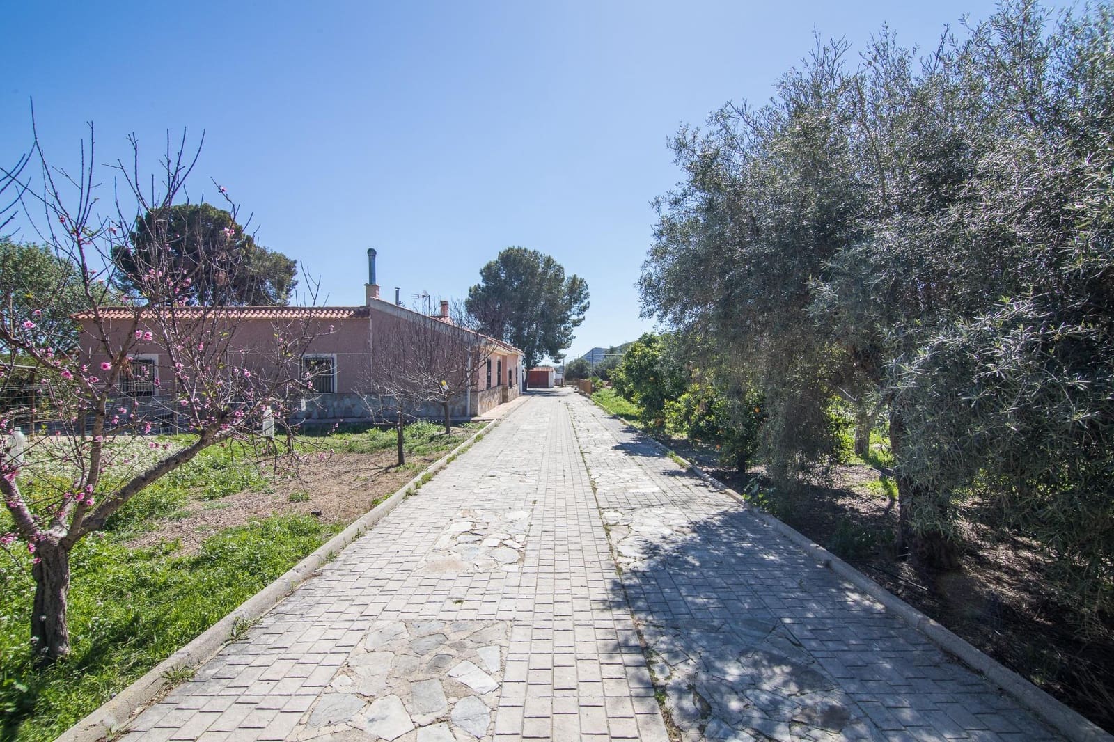 5 sypialnia Willa na sprzedaż w Redovan z basenem garażem - 375 000 € (Ref: 9780683)