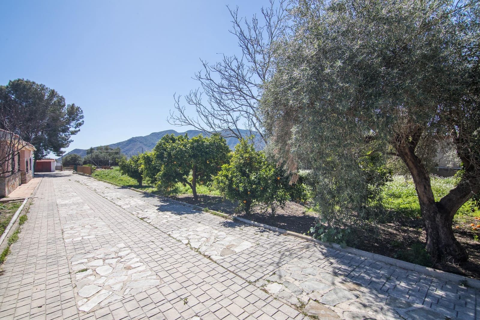 5 sypialnia Willa na sprzedaż w Redovan z basenem garażem - 375 000 € (Ref: 9780683)