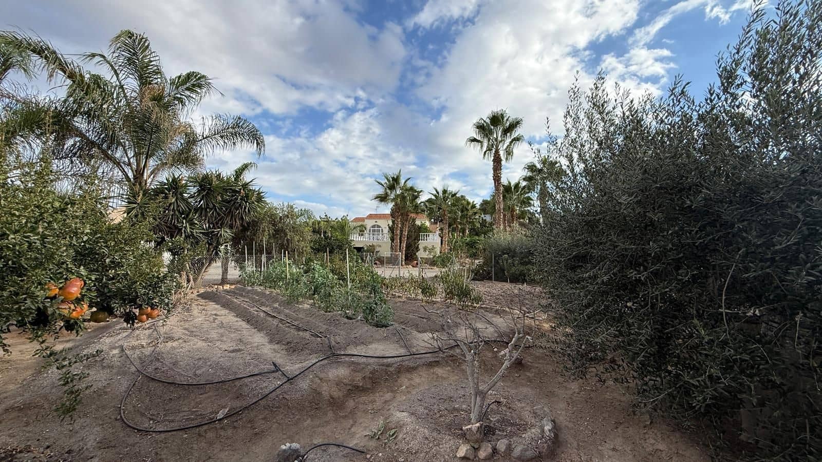 Finca/Casa Rural de 3 habitaciones en Aguilas en venta con piscina garaje - 312.000 € (Ref: 9256770)