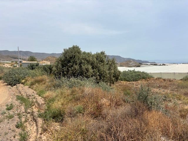 Finca/Herregård til salgs i Calabardina - € 50 000 (Ref: 9790286)