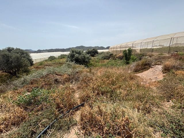 Finca/Herregård til salgs i Calabardina - € 50 000 (Ref: 9790286)